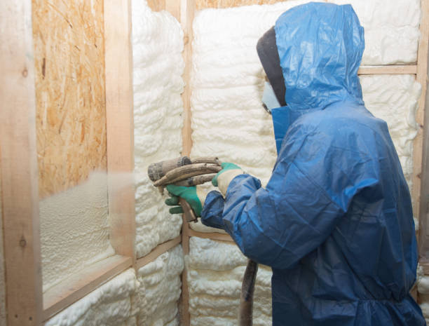 Professional Insulation Services in Creve Coeur, IL